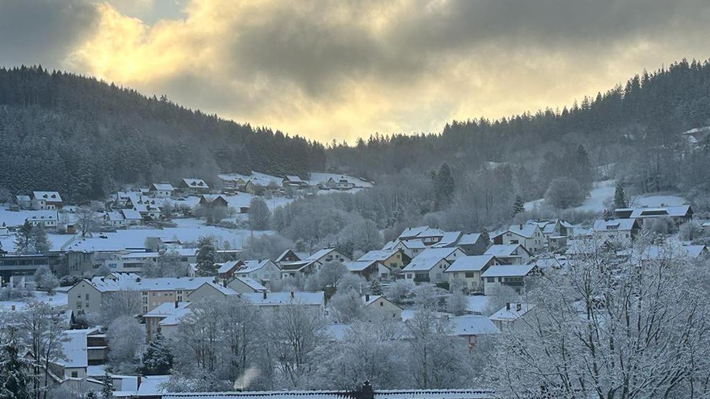 Germanus Ferienwohnung Warmensteinach Luaran gambar